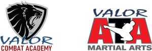 Valor Personal Defense Systems