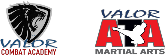 Valor Personal Defense Systems