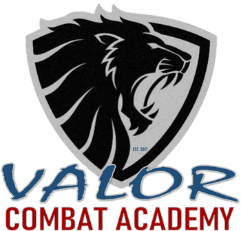 Valor Personal Defense Systems