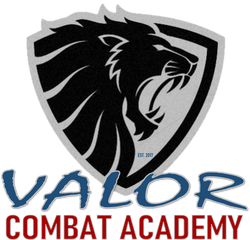 Valor Personal Defense Systems