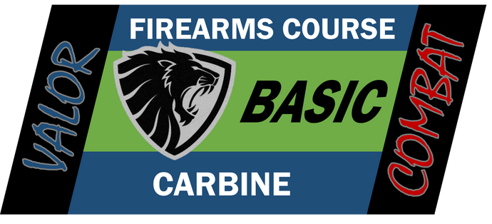 Level 1 Basic Carbine