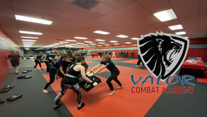Free 1st Time Krav Maga Self Defense Class